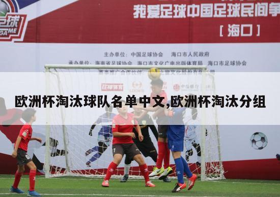 欧洲杯淘汰球队名单中文,欧洲杯淘汰分组