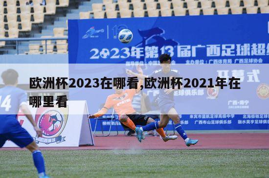 欧洲杯2023在哪看,欧洲杯2021年在哪里看