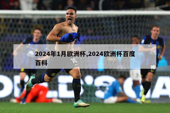 2024年1月欧洲杯,2024欧洲杯百度百科