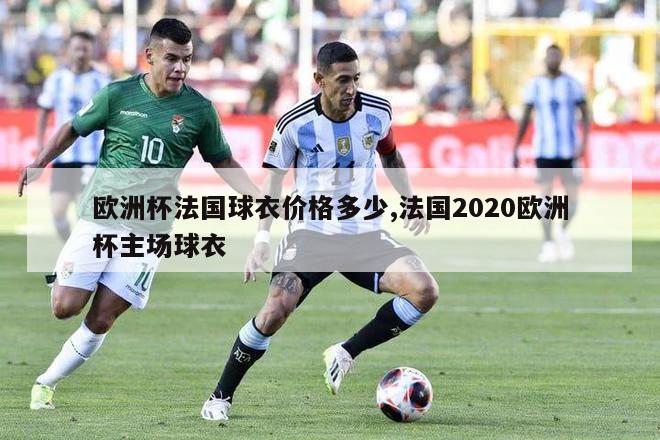 欧洲杯法国球衣价格多少,法国2020欧洲杯主场球衣