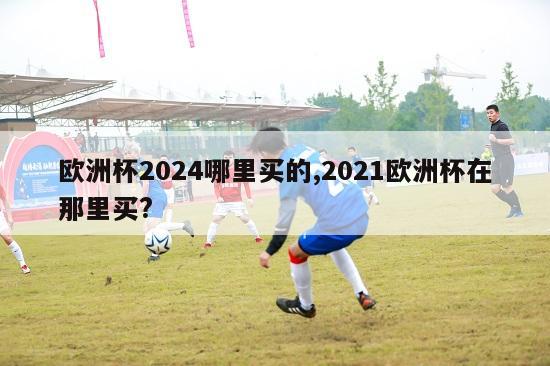 欧洲杯2024哪里买的,2021欧洲杯在那里买?